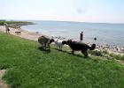 IMG 7868