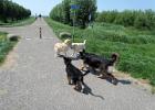 IMG 7954