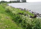 IMG 7554