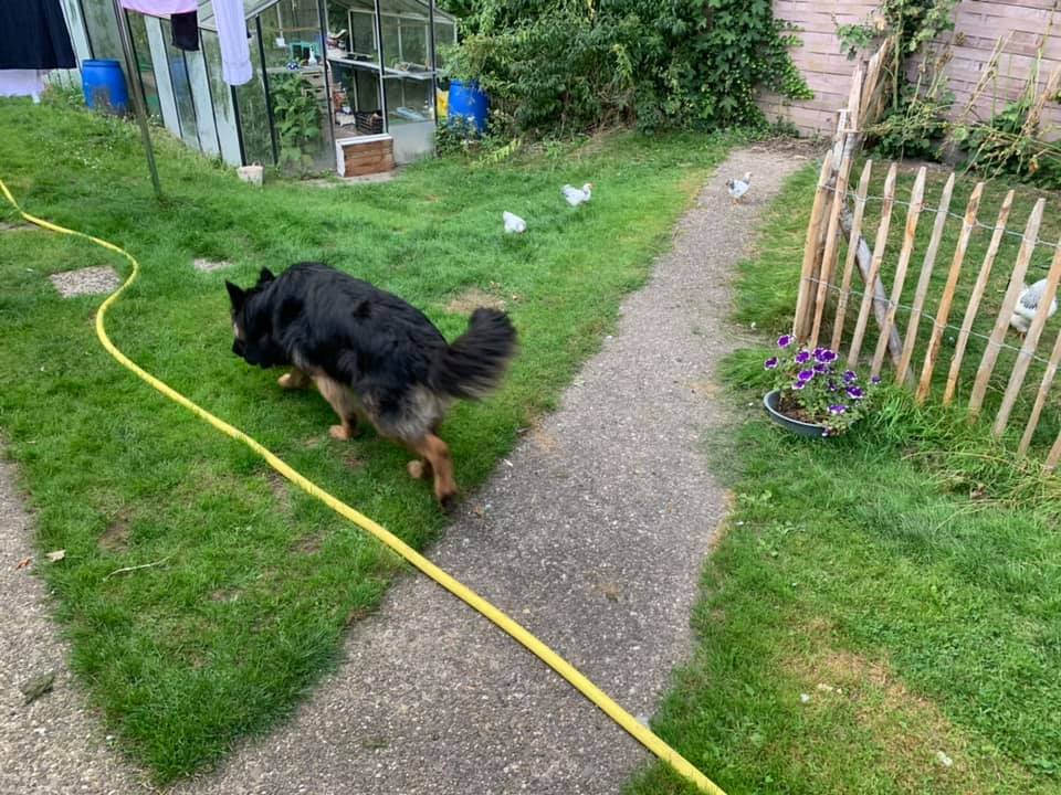 70201280 544472712763906 5066103286445113344 n