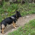 DSC01301