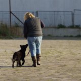 DSC00230