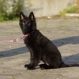 DSC00352