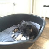 !cid D9309B92-E6D5-4049-8652-01379C215D35@arnhem chello