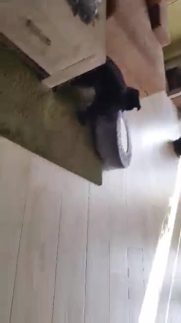 video-1457086002