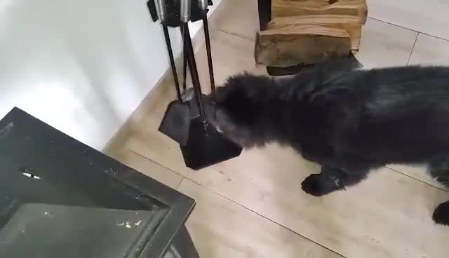 video-1457086049