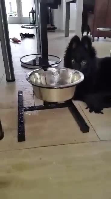 video-1457086161
