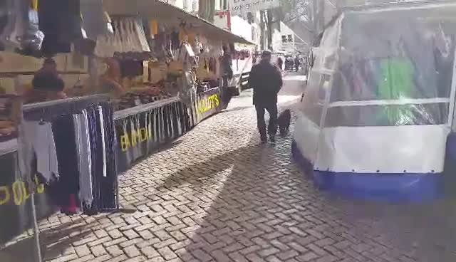 video-1457086230