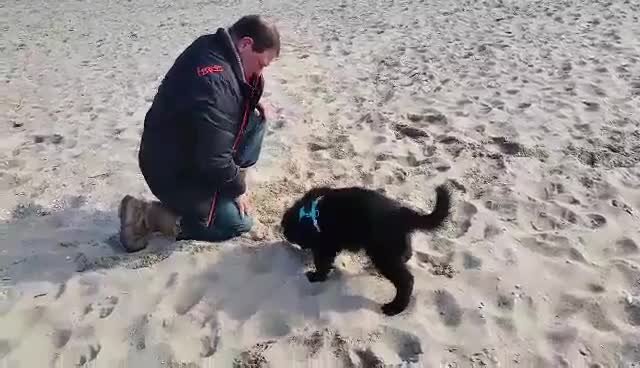 video-1457086422