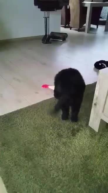 video-1457086580