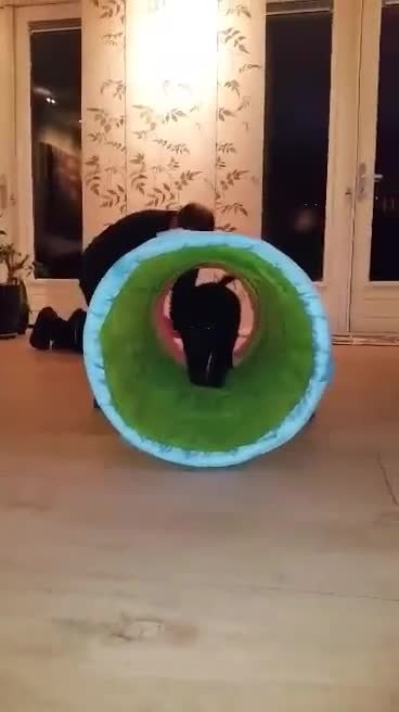video-1457087535