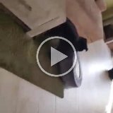 video-1457086002