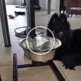 video-1457086161