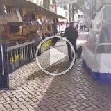 video-1457086230