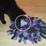 video-1457086299