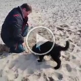 video-1457086422