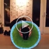 video-1457087535