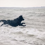 IMG 0269
