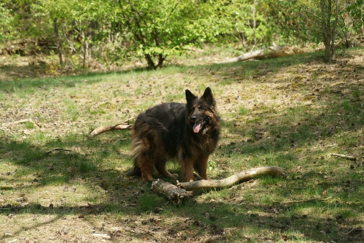 DSC09605