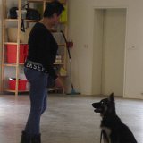 P1000729
