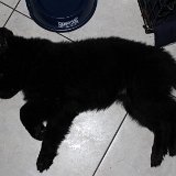 IMG 1180