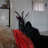 IMG 1245