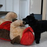 IMG 1251