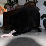 IMG 1257