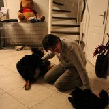 IMG 1291