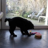 IMG 1300