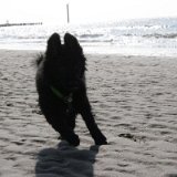 IMG 1399