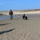 IMG 1423