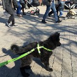 IMG 2891