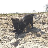 IMG 3164