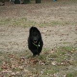 IMG 5061