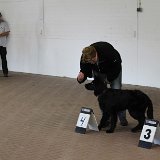 IMG 2109