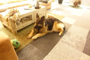 DSC02930