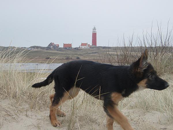 texel