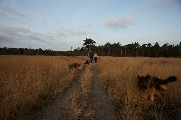 wandelen